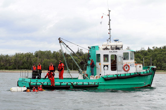 Rescue training from the DDL Tug Halmar